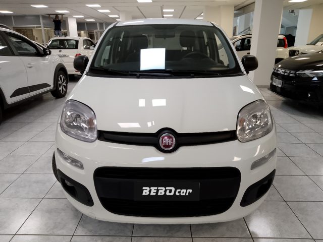 FIAT Panda usata, con Controllo trazione