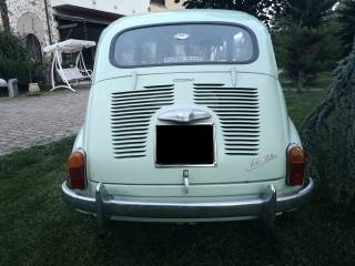 FIAT 600 usata 4