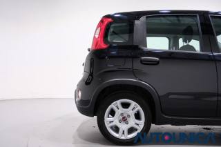 FIAT Panda usata 44