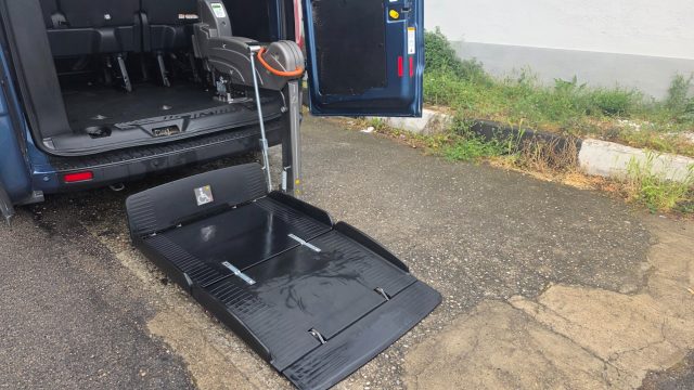 FORD Transit Custom usata, con Cruise Control