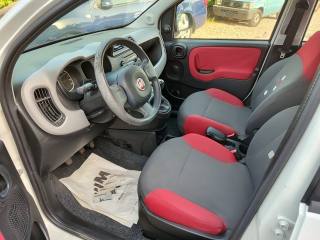 FIAT Panda usata, con Boardcomputer