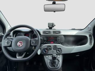 FIAT Panda usata 10