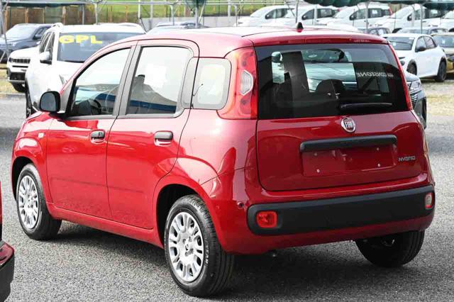 FIAT Panda usata, con Airbag Passeggero
