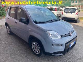 FIAT Panda usata, con Chiusura centralizzata