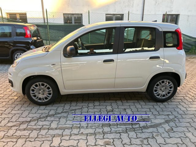 FIAT Panda usata, con Antifurto