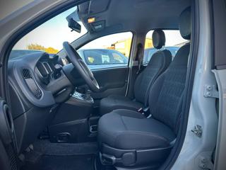 FIAT Panda usata 24