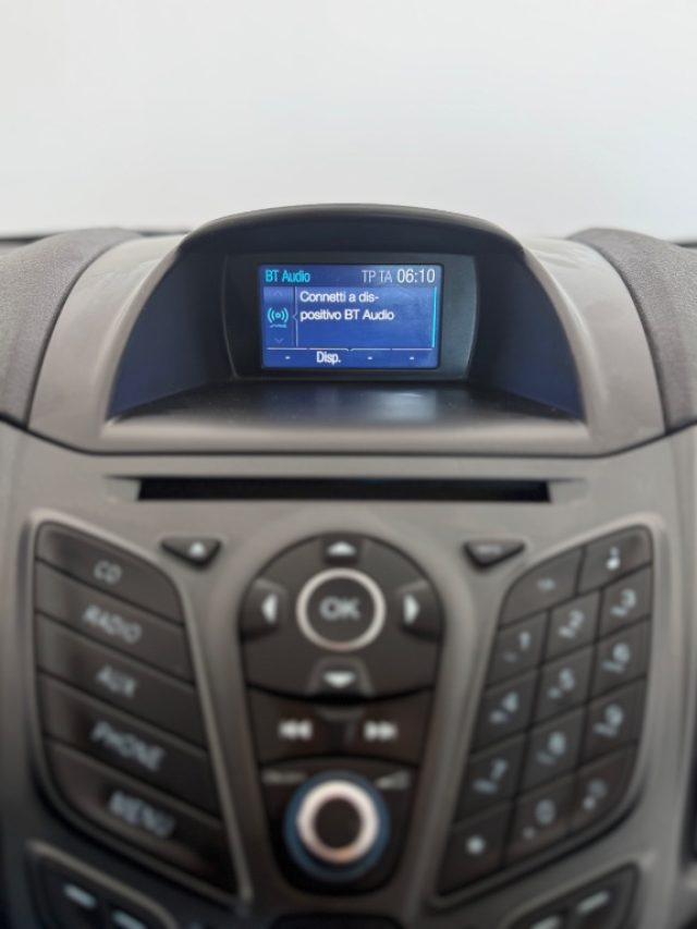 FORD Fiesta usata 14