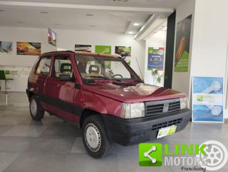 FIAT Panda usata 2