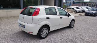FIAT Punto usata, con ESP