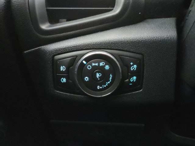 FORD EcoSport usata, con Vetri oscurati