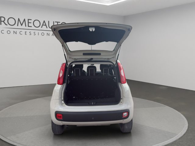 FIAT Panda usata 22
