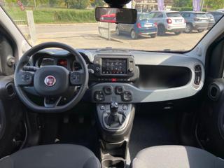 FIAT Panda Cross usata, con Chiusura centralizzata