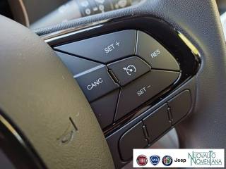FIAT Panda usata, con Volante multifunzione