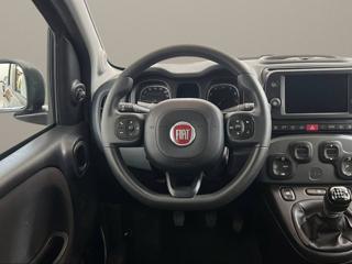 FIAT Panda Cross usata, con Fendinebbia