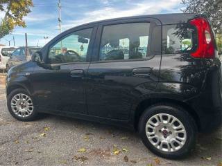 FIAT Panda usata, con Airbag