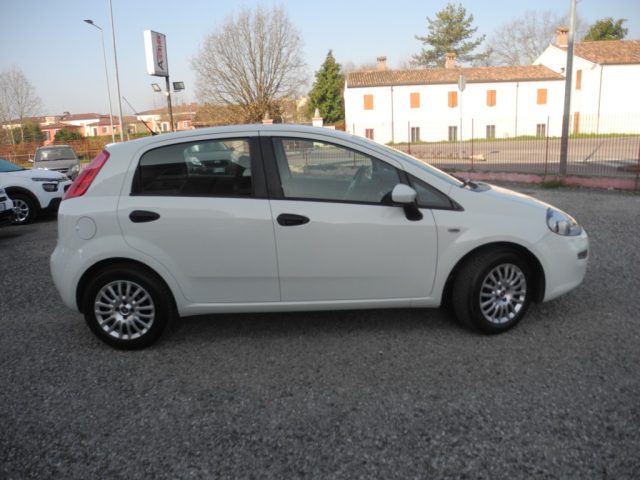FIAT Punto usata 63
