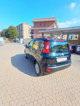 FIAT Panda usata 9
