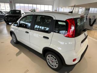 FIAT Panda usata, con Alzacristalli elettrici