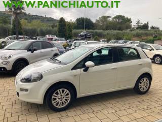 FIAT Punto usata, con Airbag