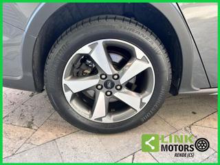 FORD Focus usata, con Supporto lombare