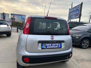 FIAT Panda usata, con Autoradio