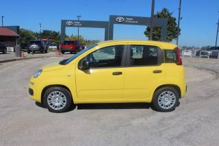 FIAT Panda usata, con Airbag Passeggero