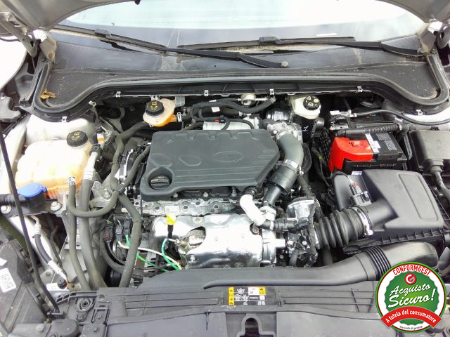 FORD Focus usata, con Servosterzo