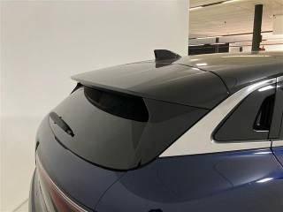 RENAULT Megane usata 29