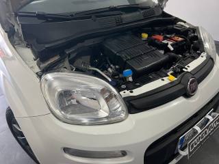 FIAT Panda usata, con Cronologia tagliandi