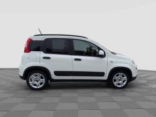 FIAT Panda usata 5