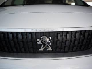 PEUGEOT Expert usata 1