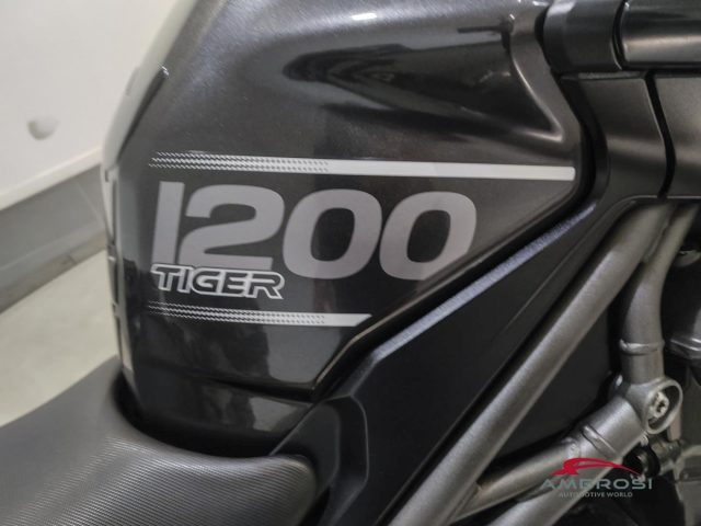 TRIUMPH Tiger 1200 usata 10