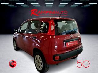 FIAT Panda usata 9