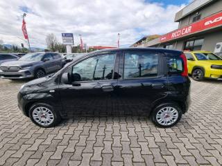 FIAT Panda usata, con Airbag Passeggero