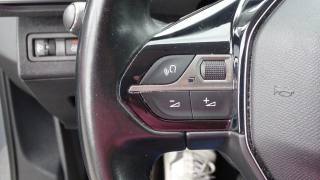 PEUGEOT 5008 usata 92