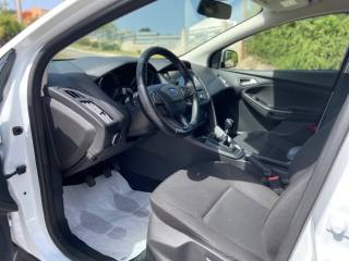 FORD Focus usata, con Cronologia tagliandi