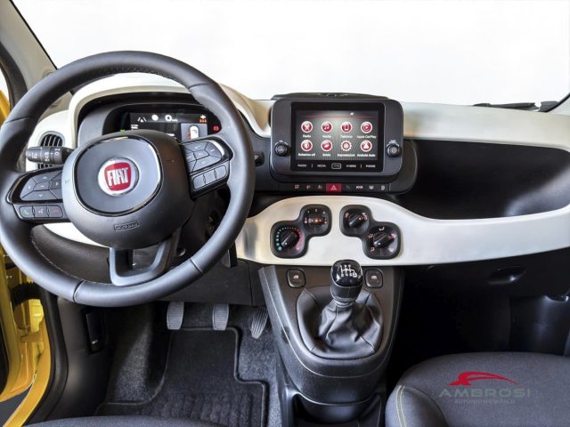 FIAT Panda usata 13