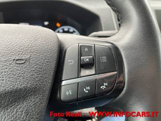 FORD Transit usata, con Vivavoce