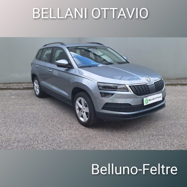 SKODA Karoq usata, con ABS