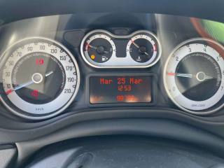 FIAT 500L usata, con Fendinebbia