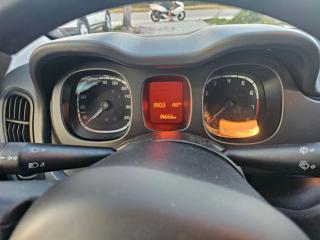 FIAT Panda usata 12