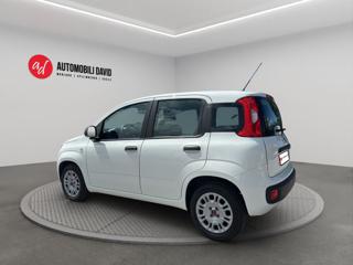 FIAT Panda usata, con Airbag laterali