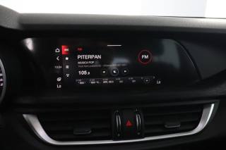 ALFA ROMEO Stelvio usata 10