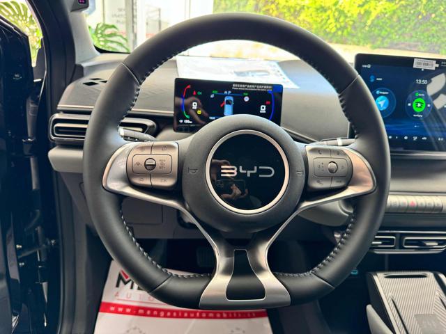 BYD Dolphin Surf usata, con Cruise Control