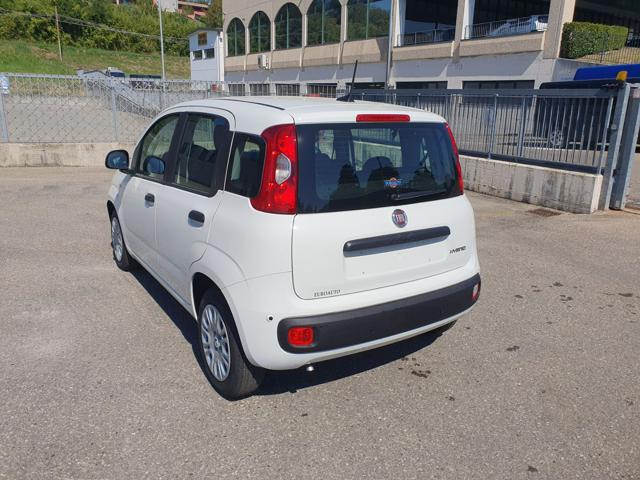 FIAT Panda usata, con Chiusura centralizzata