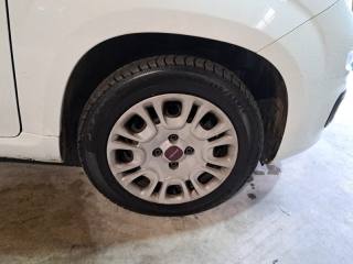 FIAT Panda usata, con Controllo trazione