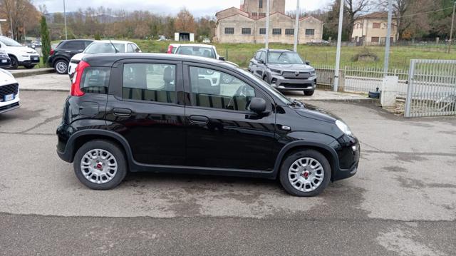 FIAT Panda usata, con Alzacristalli elettrici