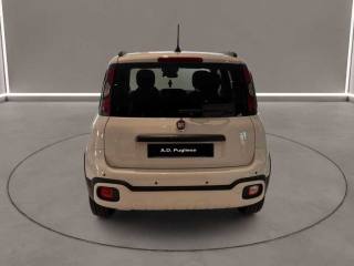 FIAT Panda Cross usata, con Controllo trazione