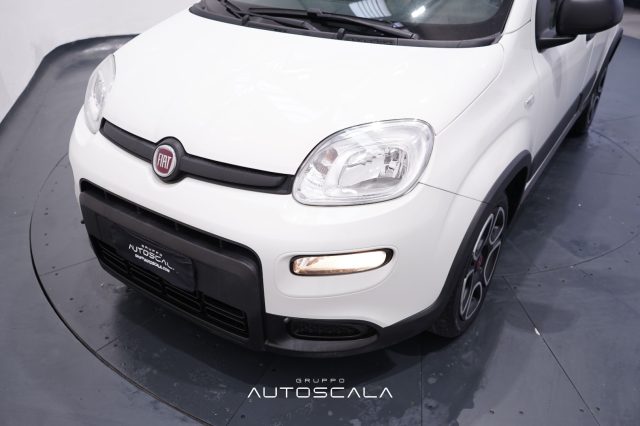 FIAT New Panda usata 23