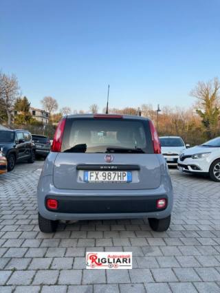 FIAT Panda usata, con Volante multifunzione